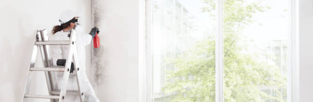 Best Air Quality Testing for Mold Spores  in Beach, ND